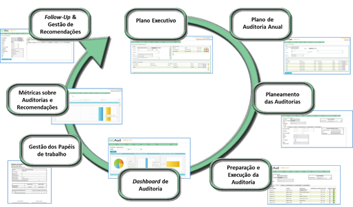 Ciclo de Vida Auditoria